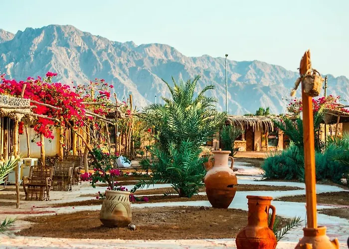 Resort Sayadeen Village - Red Sea Riviera 3*
